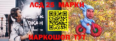 гашик Берёзовский