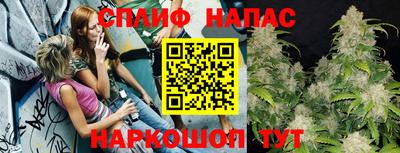 гашик Берёзовский