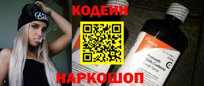 гашик Берёзовский