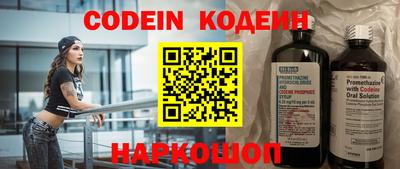гашик Берёзовский
