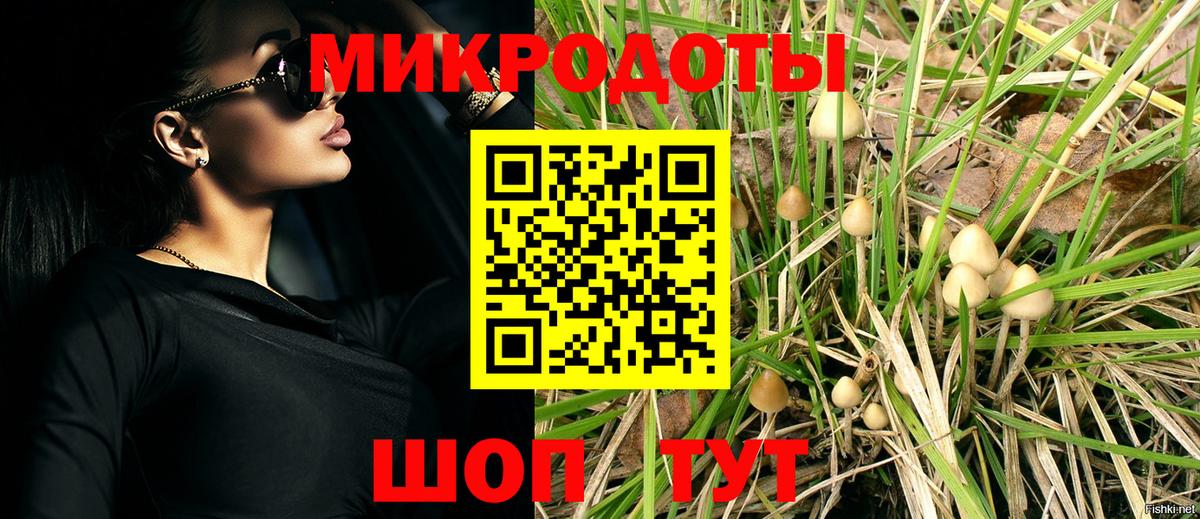 Псилоцибиновые грибы прущие грибы Йошкар-Ола