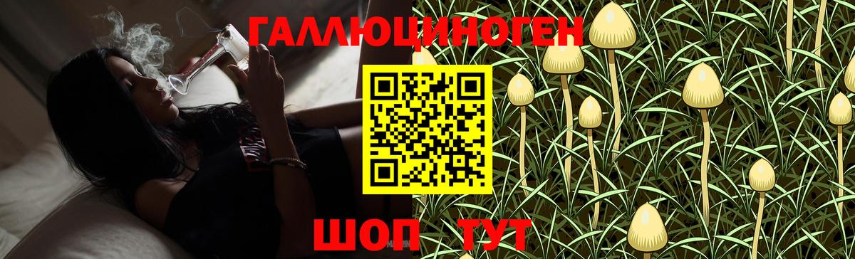 Псилоцибиновые грибы Psilocybine cubensis  Галлюциногенные грибы мухоморы  Вход с VPN  Йошкар-Ола 